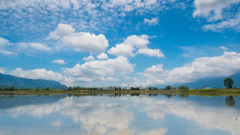 BBC Mundo: Paisaje en campos de arroz de Taiwán.