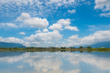 BBC Mundo: Paisaje en campos de arroz de Taiwán.